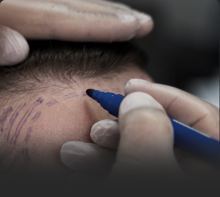 미학으로 완성되는 자연스러움